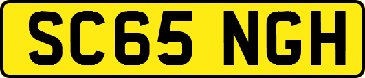 SC65NGH