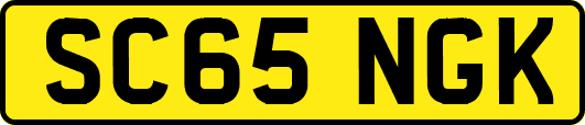 SC65NGK