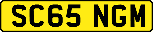 SC65NGM