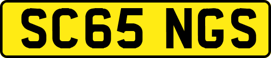 SC65NGS
