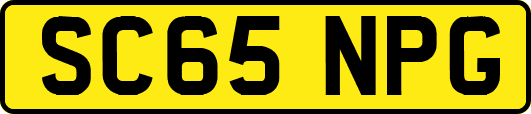 SC65NPG