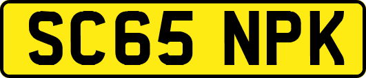 SC65NPK