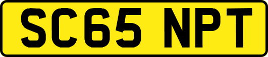 SC65NPT