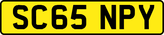 SC65NPY