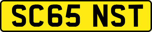 SC65NST