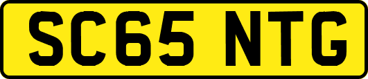 SC65NTG