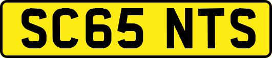 SC65NTS