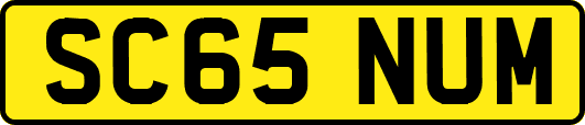 SC65NUM
