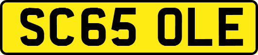 SC65OLE