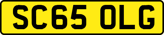 SC65OLG