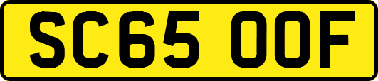 SC65OOF