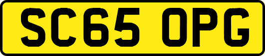 SC65OPG
