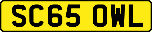 SC65OWL