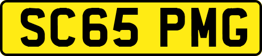 SC65PMG