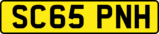 SC65PNH