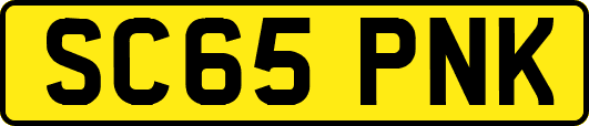 SC65PNK