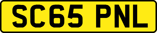 SC65PNL
