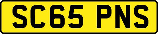 SC65PNS