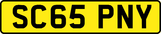 SC65PNY