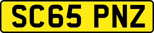 SC65PNZ