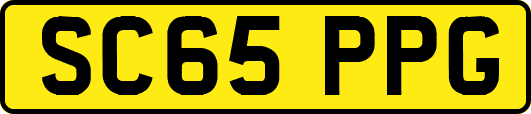 SC65PPG
