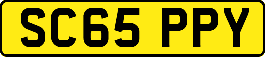 SC65PPY