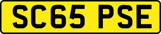 SC65PSE