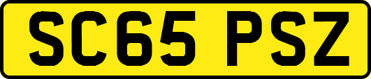 SC65PSZ