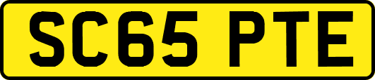 SC65PTE