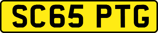 SC65PTG