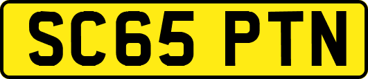 SC65PTN