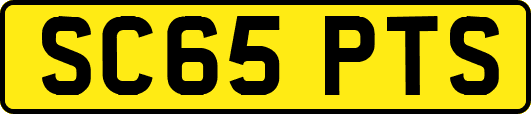 SC65PTS