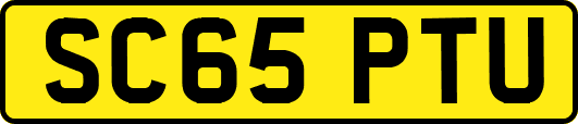 SC65PTU