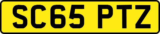 SC65PTZ