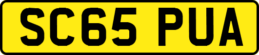 SC65PUA