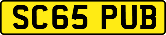 SC65PUB