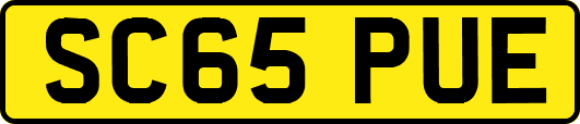 SC65PUE