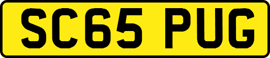 SC65PUG