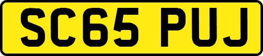 SC65PUJ