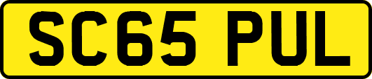 SC65PUL