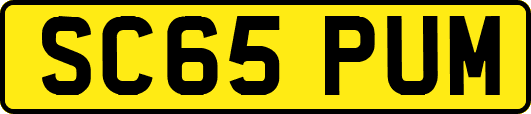 SC65PUM