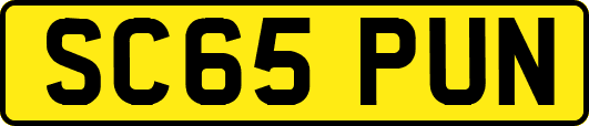SC65PUN