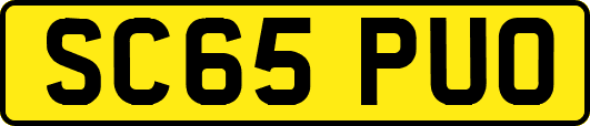 SC65PUO