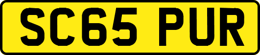 SC65PUR