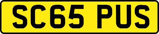 SC65PUS