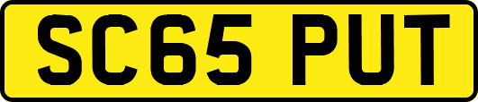 SC65PUT