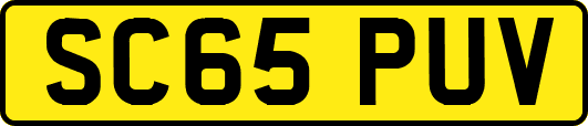 SC65PUV