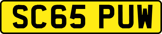 SC65PUW