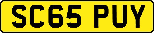 SC65PUY