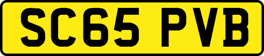 SC65PVB